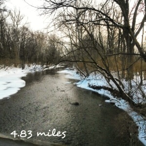 Love running in this trial. It's beautiful even in freezing cold temperatures!
